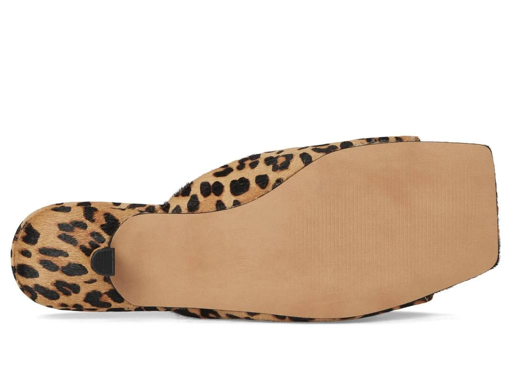Steve Madden Meme 3