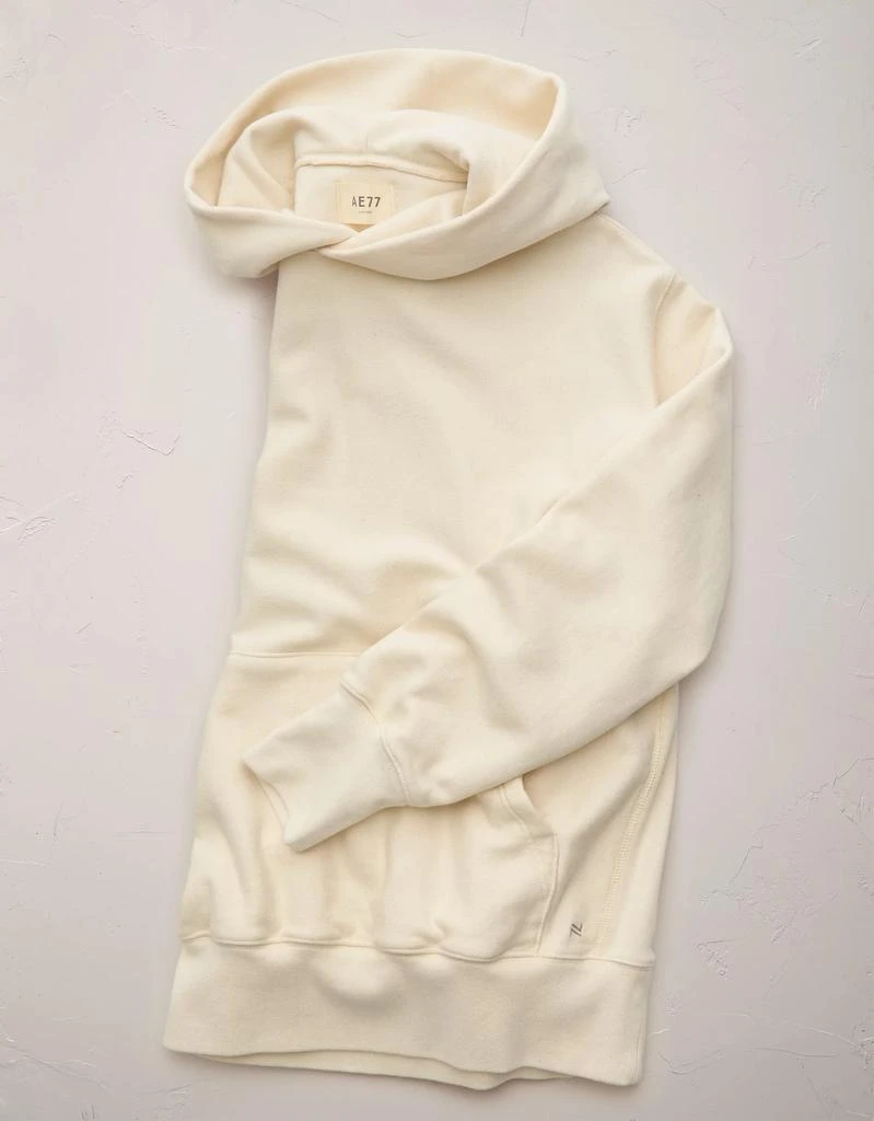 AE AE77 Premium Fleece Hoodie 4