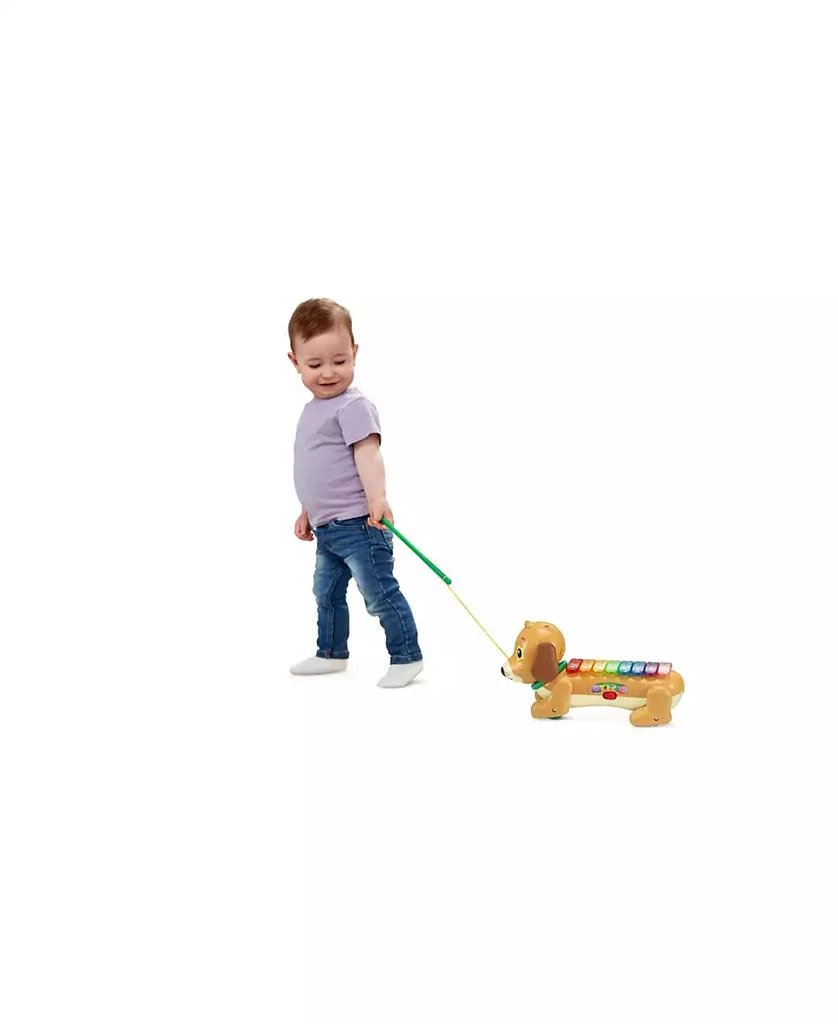 VTech Zoo Jamz Doggy Xylophone 3