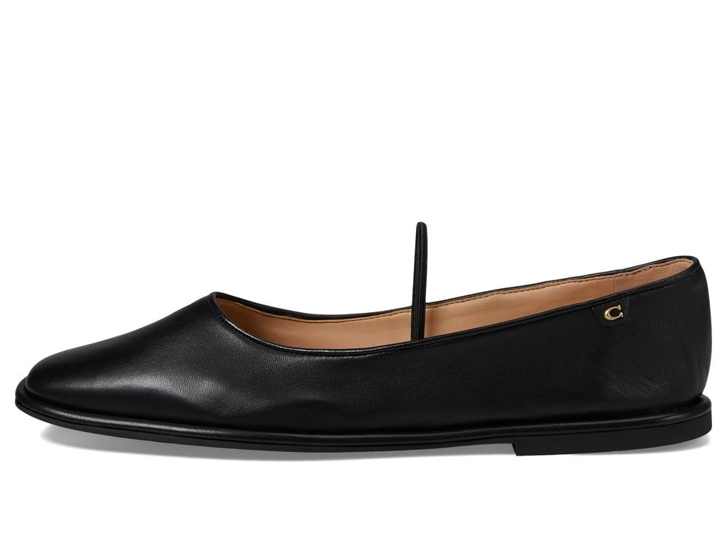 Coach Emilia Mary Jane 4