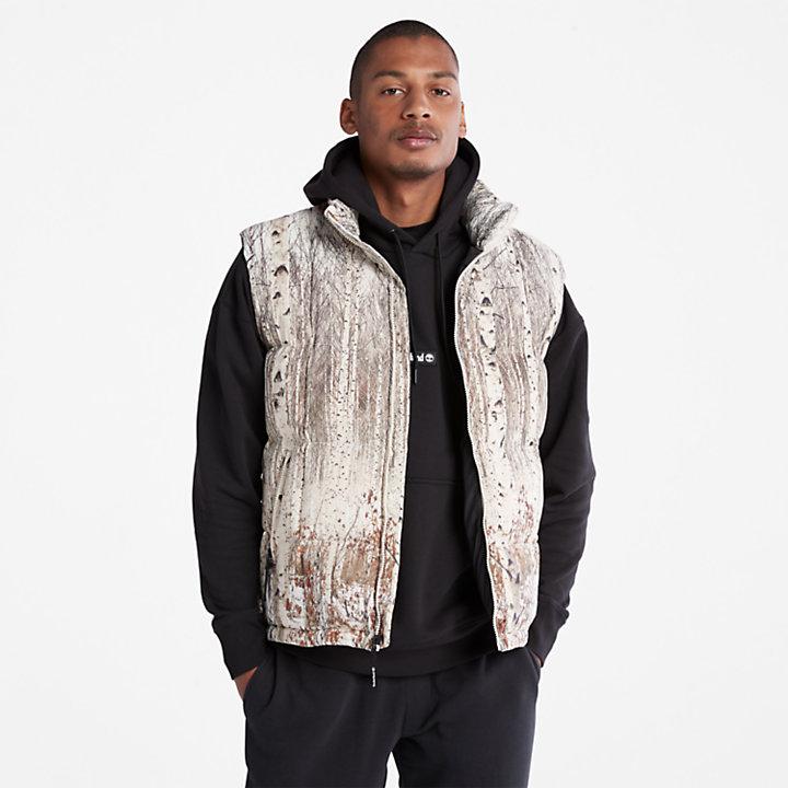 Timberland Graphic Gilet for Men in Beige
