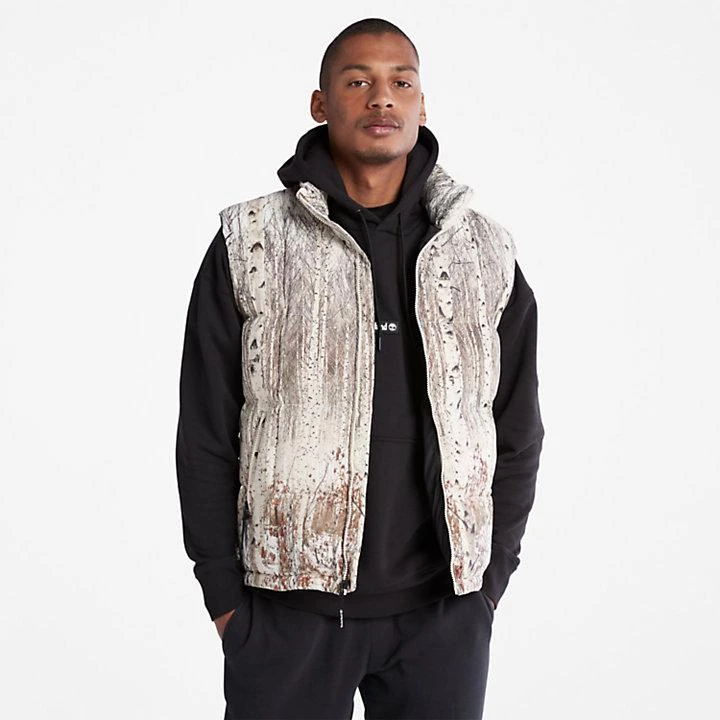 Timberland Graphic Gilet for Men in Beige 1
