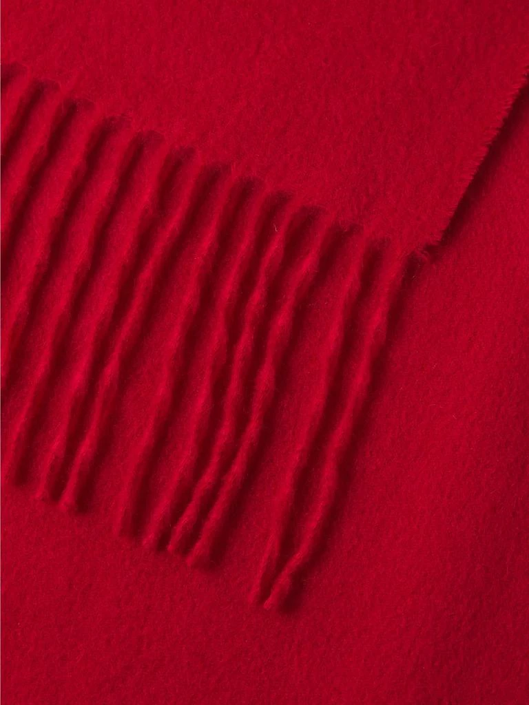 Sofia Cashmere Fringed Cashmere Wrap 4