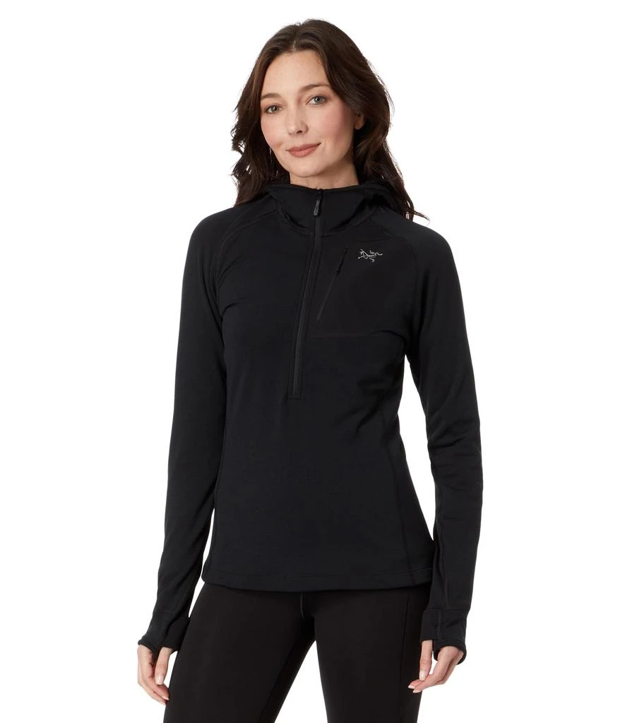 Arc'teryx Delta 1/2 Zip Hoody