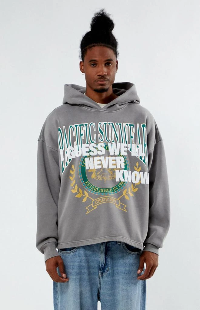 Pacsun Mens Hoodies Pacific Sunwear Hoodie Men's Pacific Sunwear