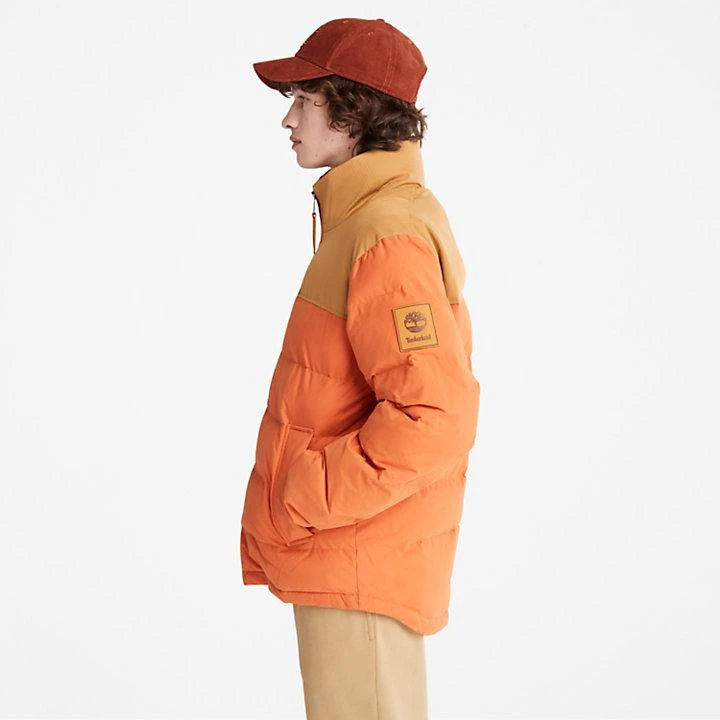 Timberland Welch Mountain Puffer Jacket for Men in Orange 4