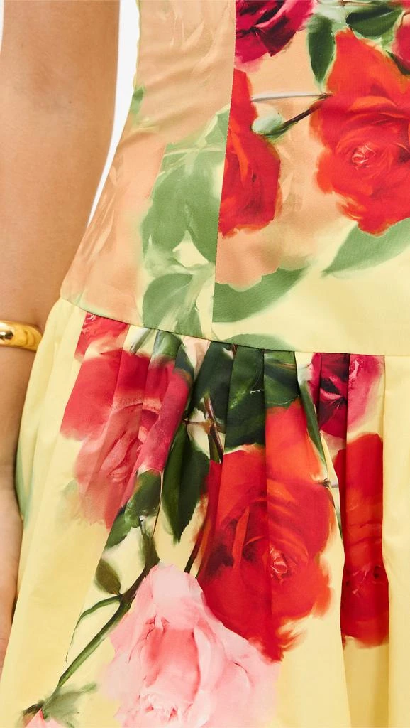 Cara Cara Elena Dress 5