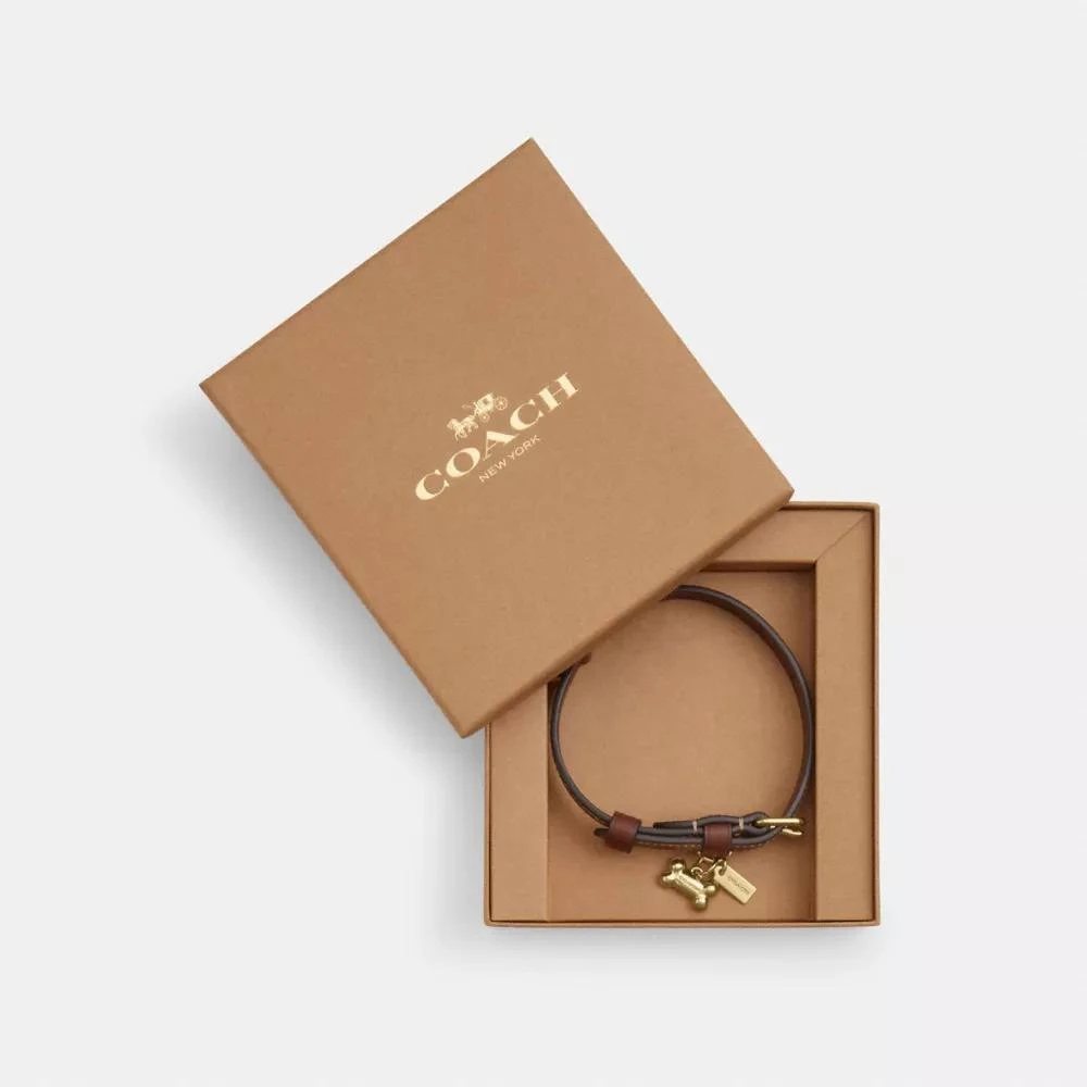 Coach Boxed Small Pet Collar In Signature Canvas 2