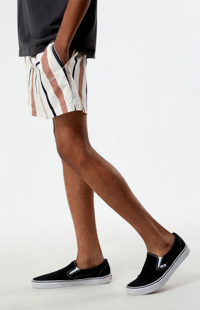 PacSun Stripe 4.5" Swim Trunks 3