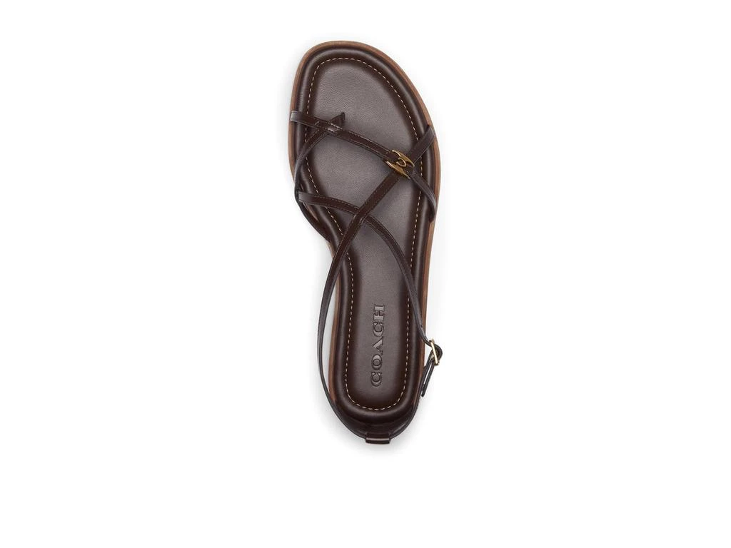 Coach Jenni Sandals 2