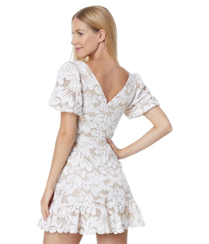 BCBG Short Evening Dress 2
