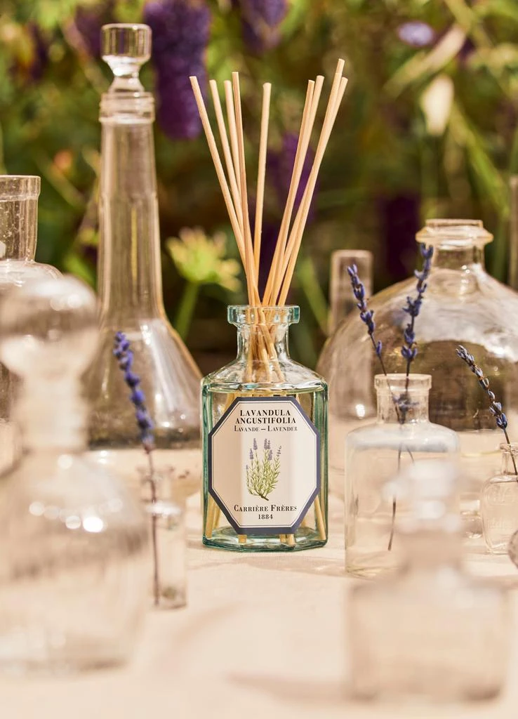 Carriere Freres Fragrance diffuser Lavender - Lavandula Angustifolia 200 ml 3