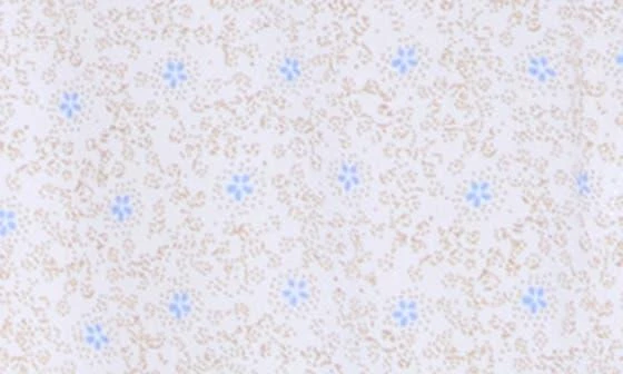 TR Premium Tipped Floral Print Short Sleeve Button-Up Shirt 4