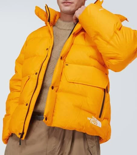 The North Face RMST Sierra parka 5