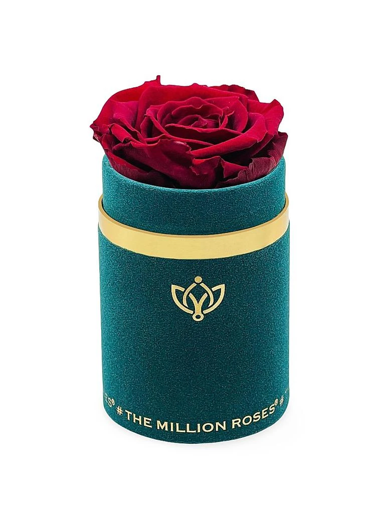 The Million Roses Single Rose in Suede Box