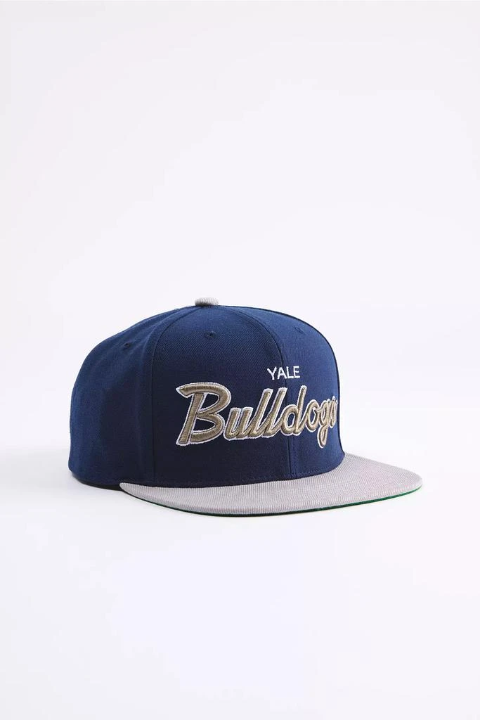 Mitchell & Ness Mitchell & Ness Yale Bulldogs Script Snapback Hat 1