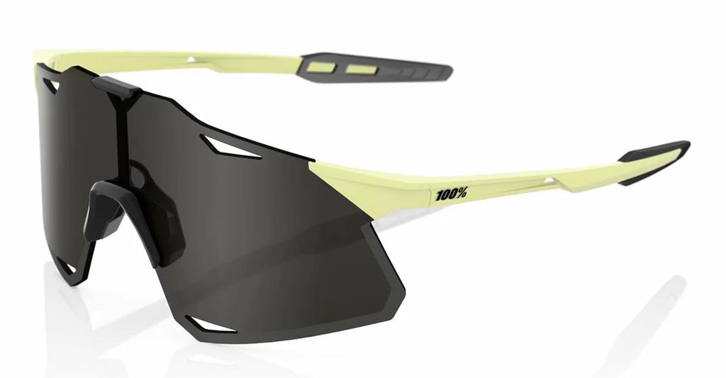 100% 100% Sunglasses