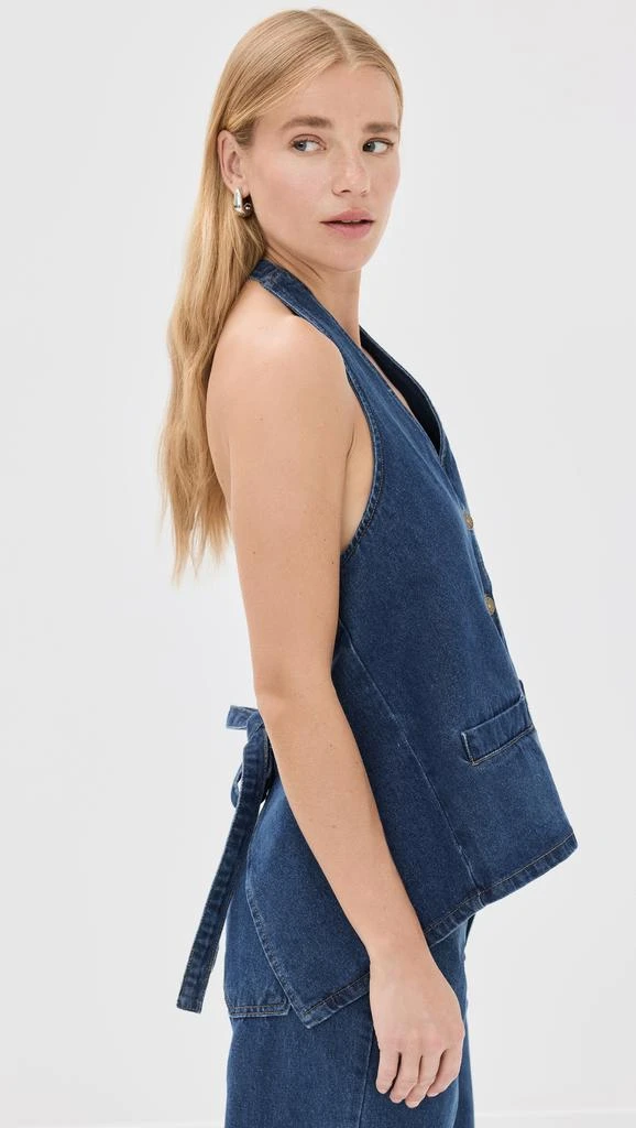 Lioness Hills Halter Vest 3