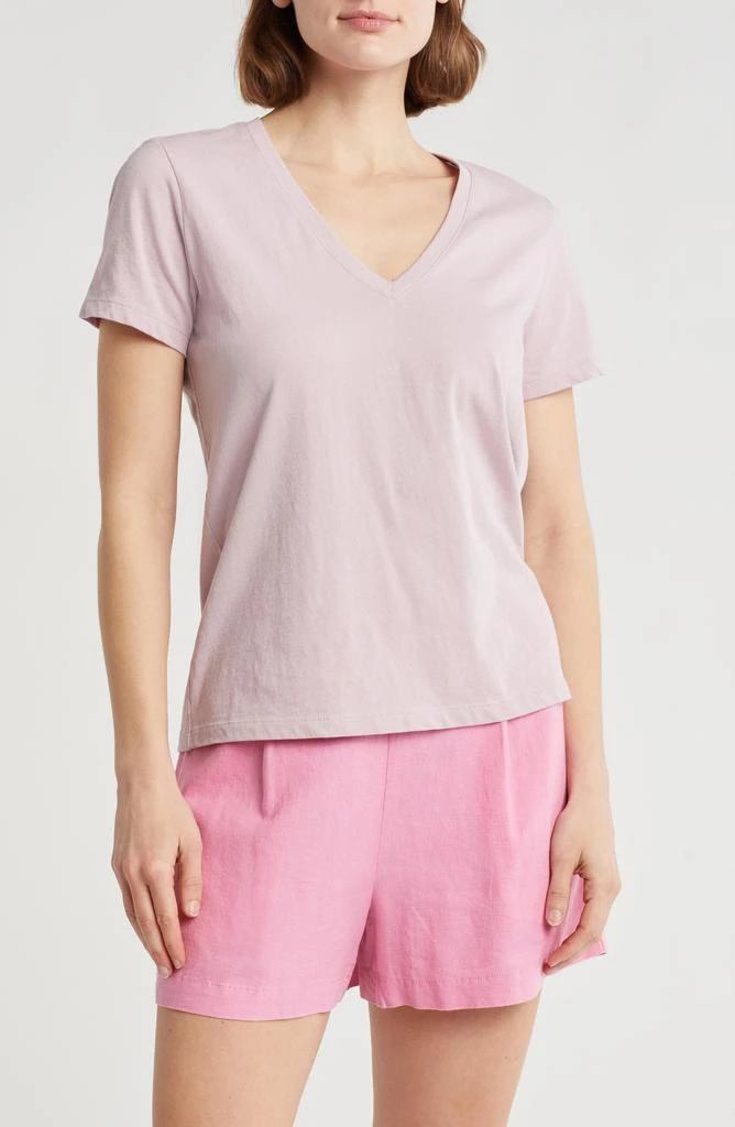 Madewell Whisper V-Neck T-Shirt 1