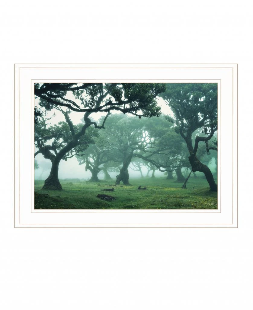 Hivvago Enchanted Forest II 2 White Framed Print Wall Art 2