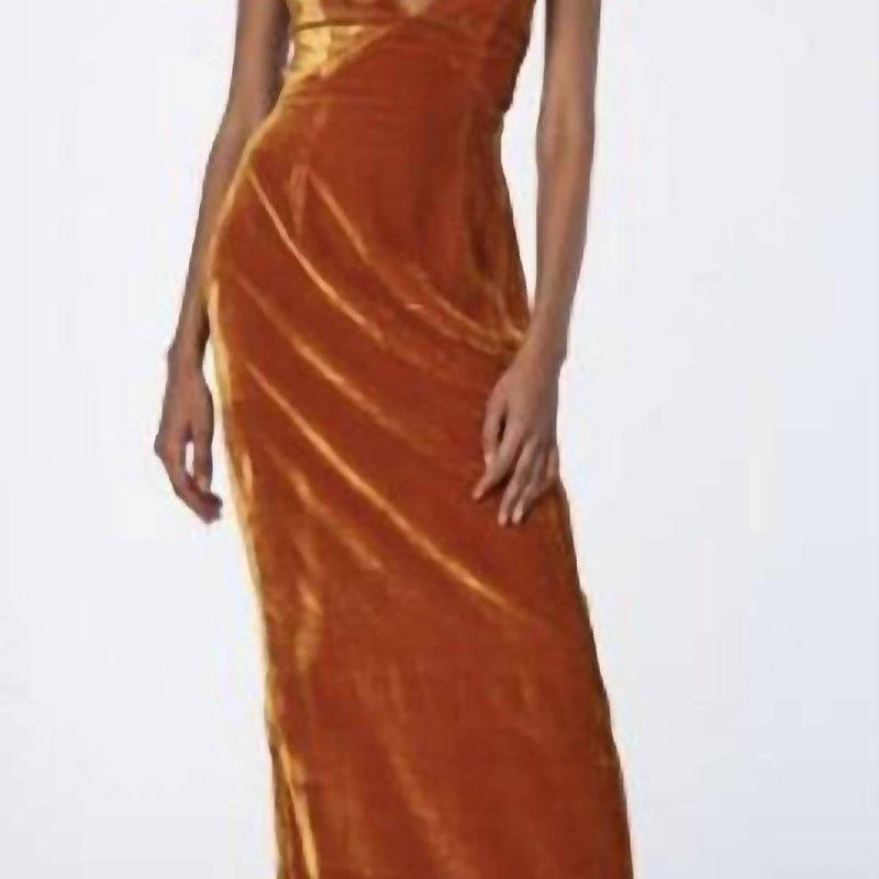 Ronny Kobo Gabe Velvet Dress 1