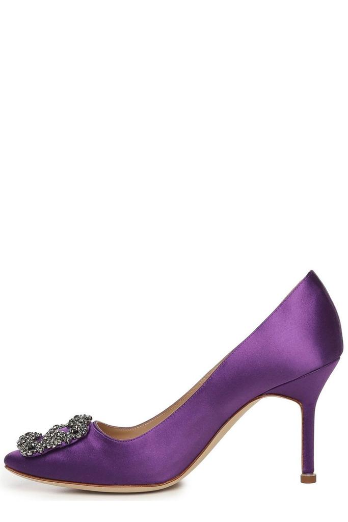 Manolo Blahnik Manolo Blahnik Hangisi Pointed-Toe Pumps