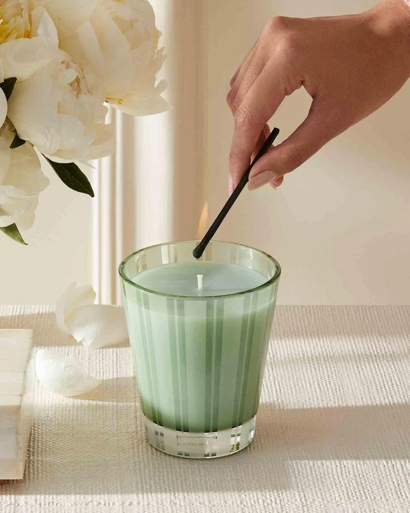 NEST New York 8.1 oz. Wild Mint & Eucalyptus Classic Candle 4