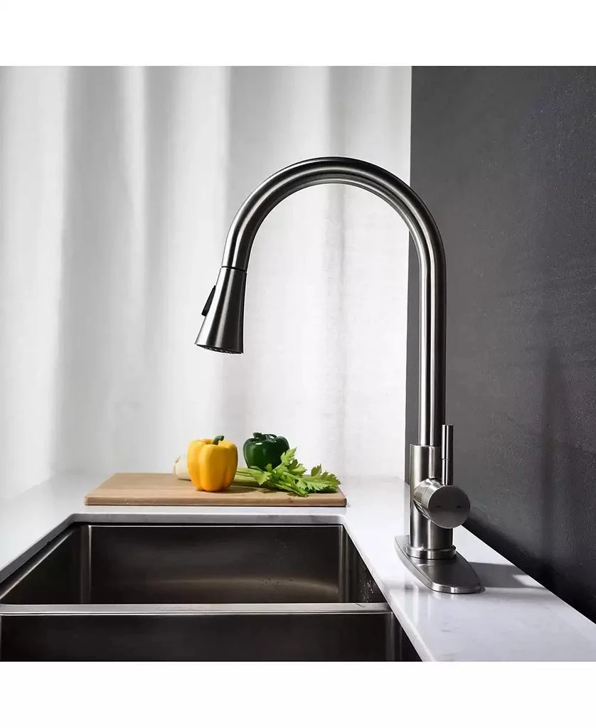 Flynama Kitchen Faucet with Pull Out Spraye 3
