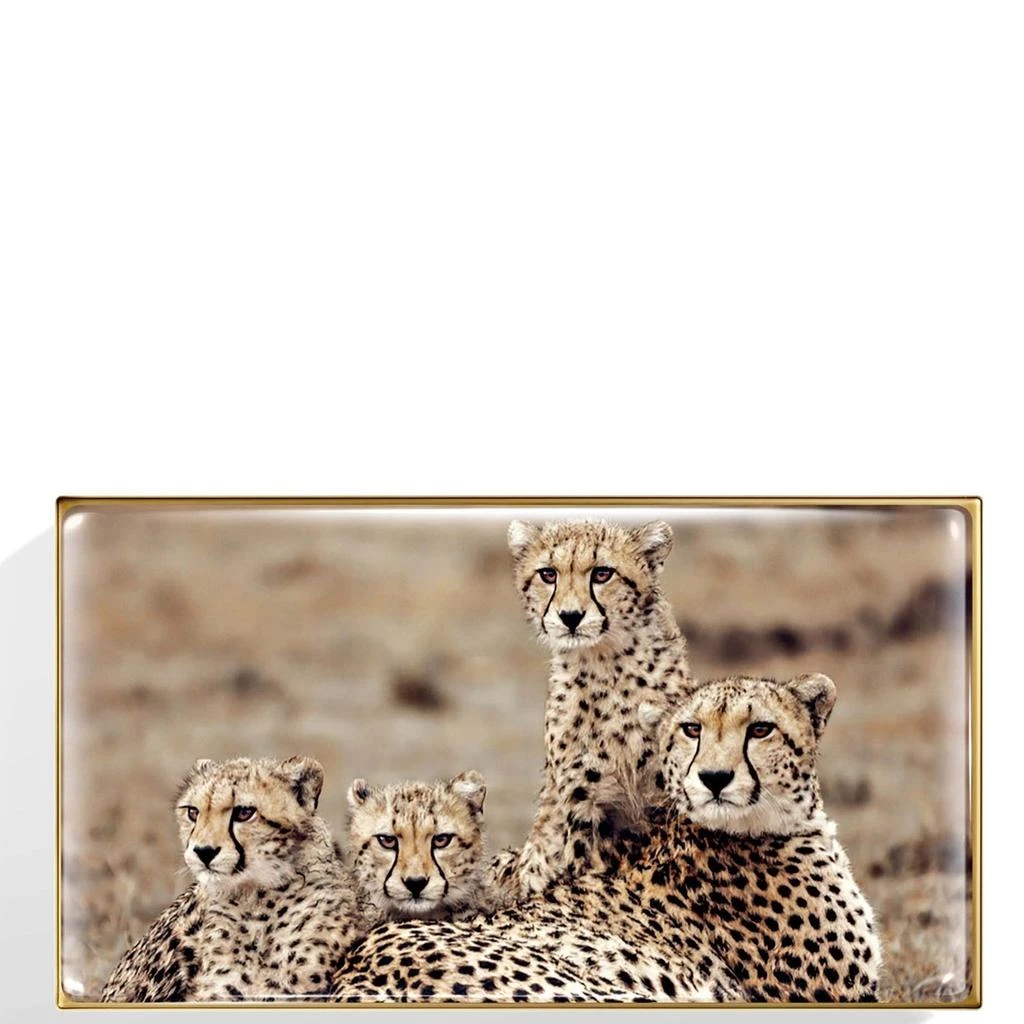 Chantecaille Chantecaille Cheetah Eye Trio 2.5g 3