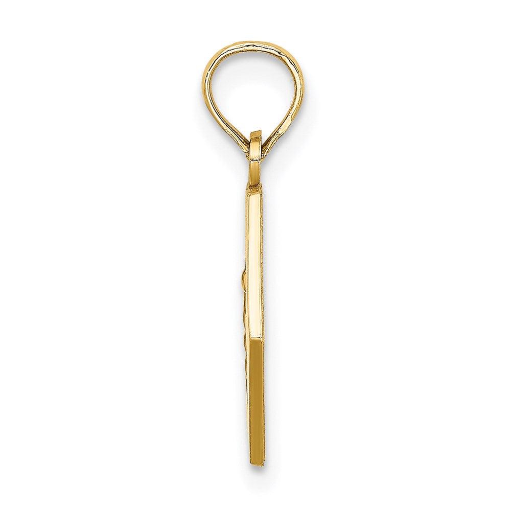 Diamond2Deal 14k Yellow Gold Caduceus Textured Back Medical Charm Pendant