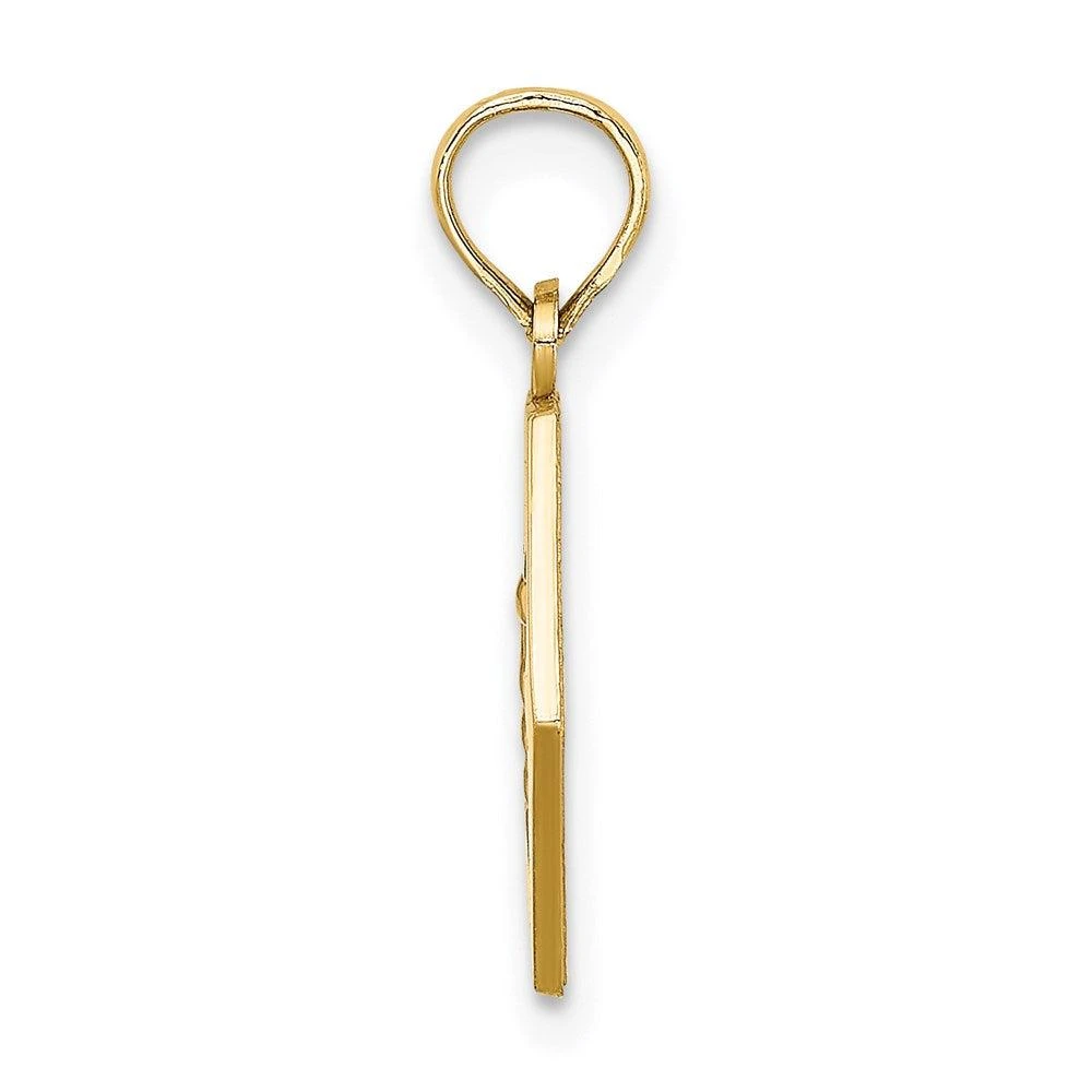 Diamond2Deal 14k Yellow Gold Caduceus Textured Back Medical Charm Pendant 2