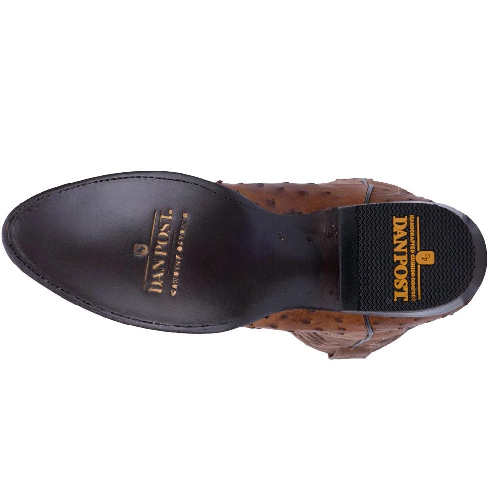 Dan Post Boots Tempe Ostrich Embroidered Round Toe Pull On Cowboy Boots 5