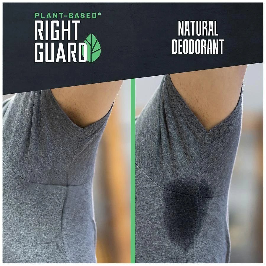 Right Guard Plant-Based Deodorant 
Antiperspirant Mountain Fresh 7