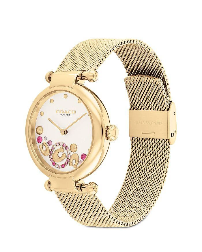 Coach Cary Watch, 34mm 3