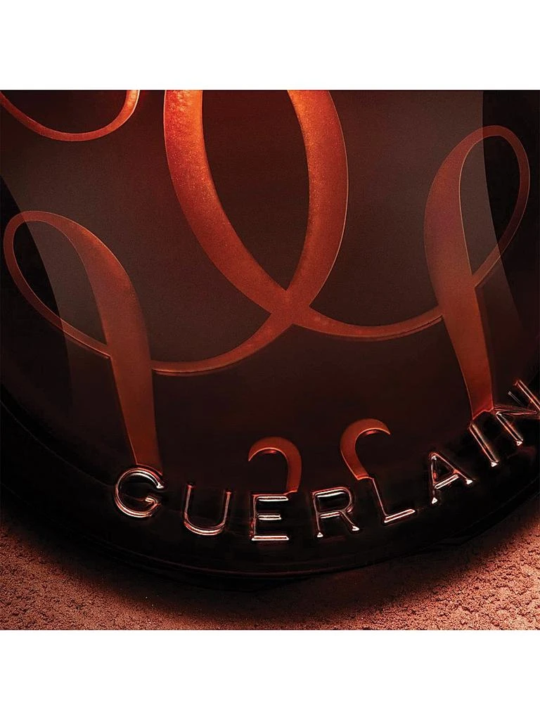 Guerlain Terracotta Sunkissed Natural Bronzer Powder 9