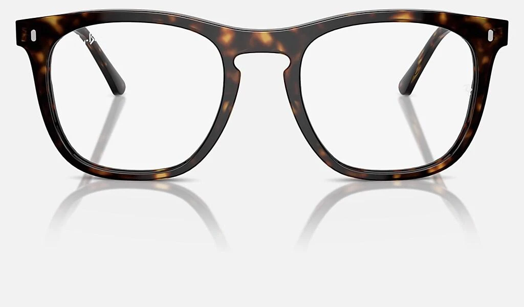 Ray-Ban RB2210V OPTICS 2