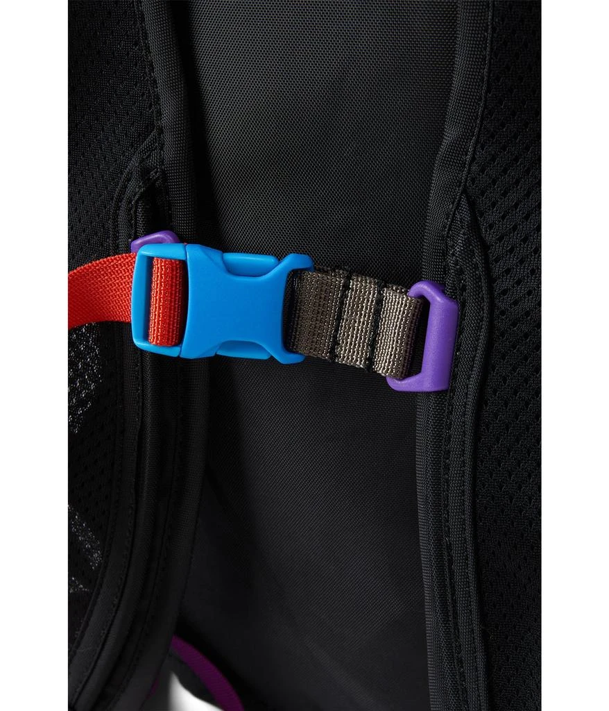 Cotopaxi Batac 16L Backpack 4