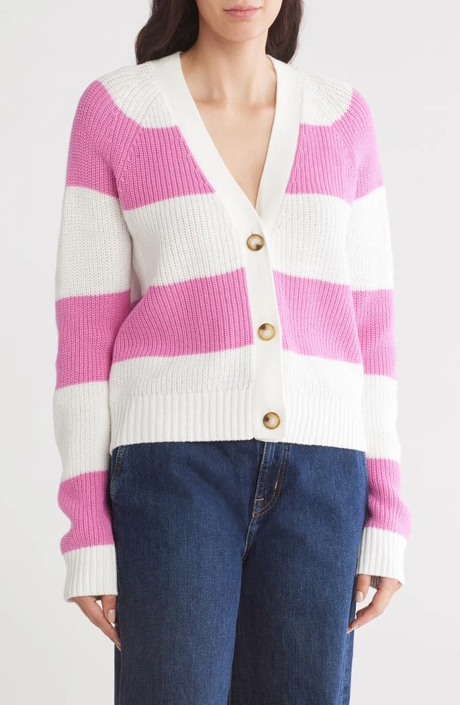 Design History Varsity Cardigan 1
