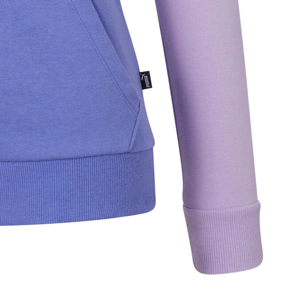 Puma Essentials Colorblock Pullover Hoodie 5