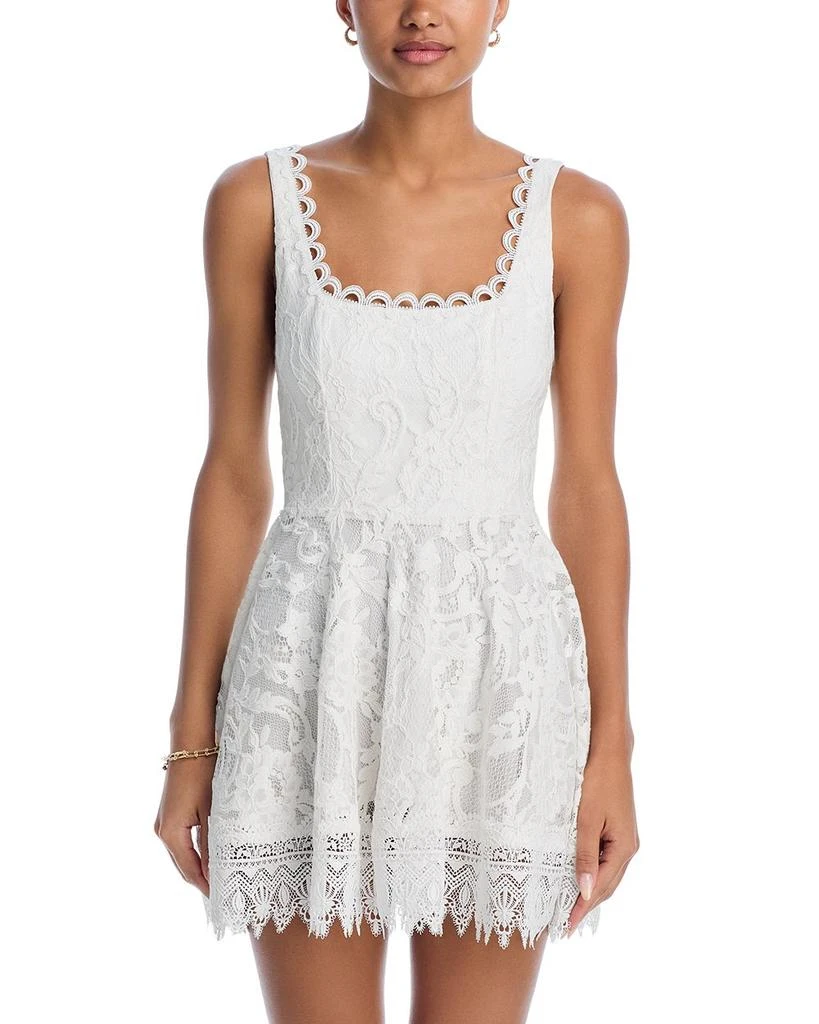 Waimari Havana Lace Mini Dress 7