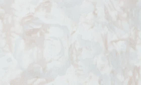 MARIKA Amber Print Shorts 4