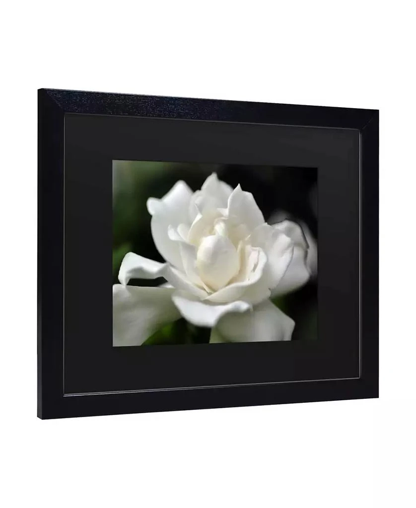 Trademark Global Kurt Shaffer Lovely Gardenia Matted Framed Art - 15" x 20" 2
