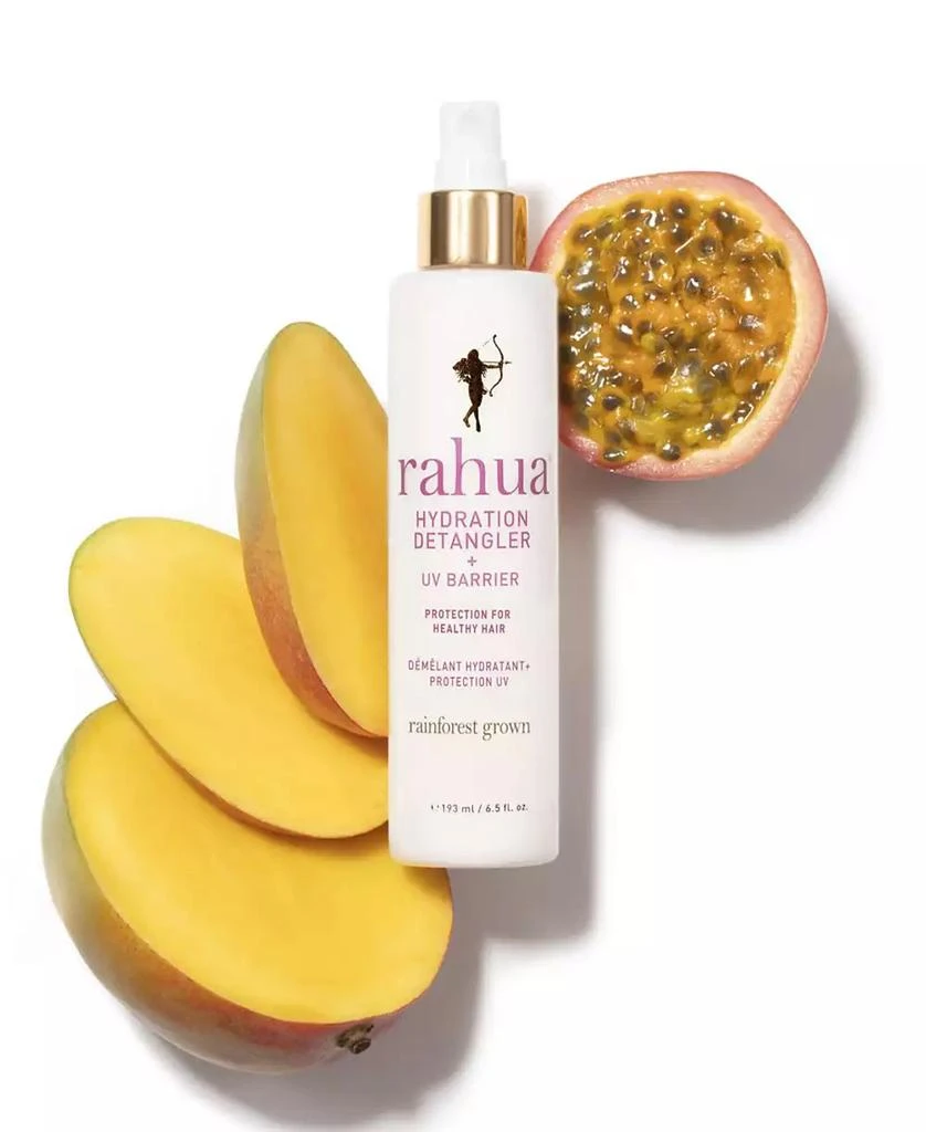 Rahua Hydration Detangler, 6.5-oz. 3