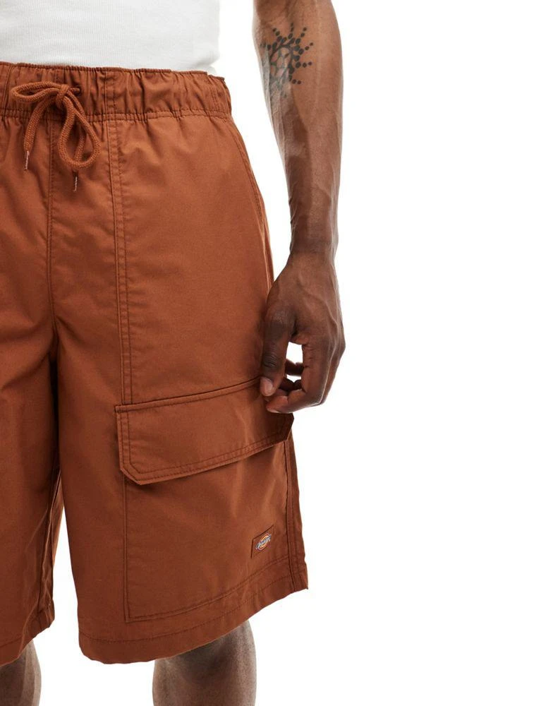 DICKIES Dickies fisherville shorts in brown tan 5