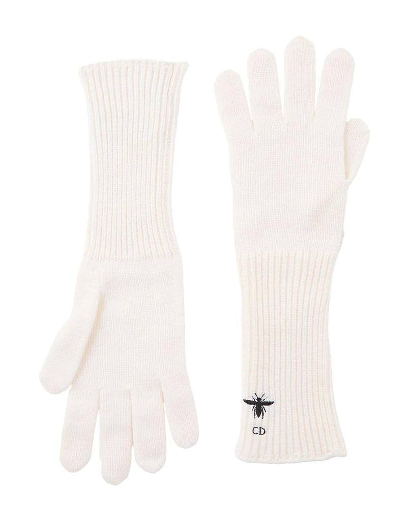 Dior Gloves 1