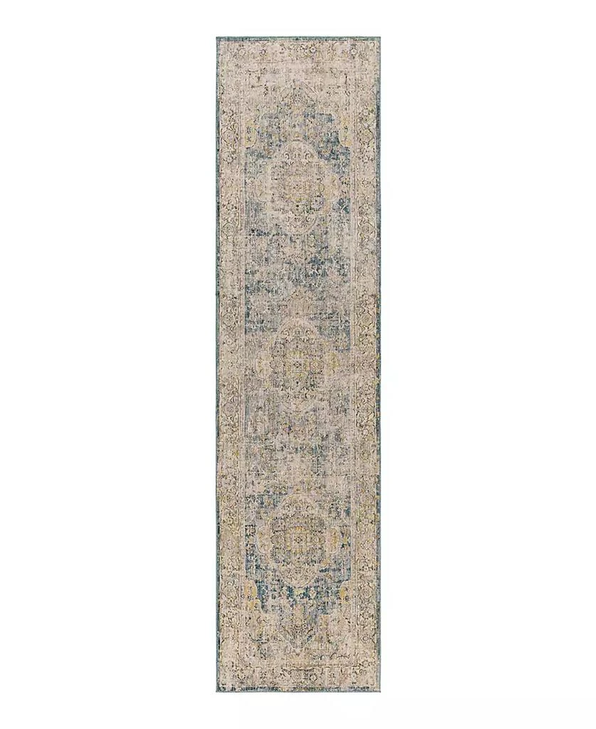 Surya Aspendos APS-2304 2'7" x 10' Runner Area Rug 1