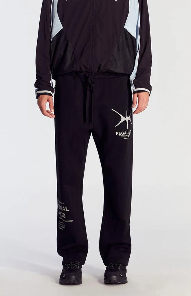 PacSun Regal Arts Baggy Sweatpants 2