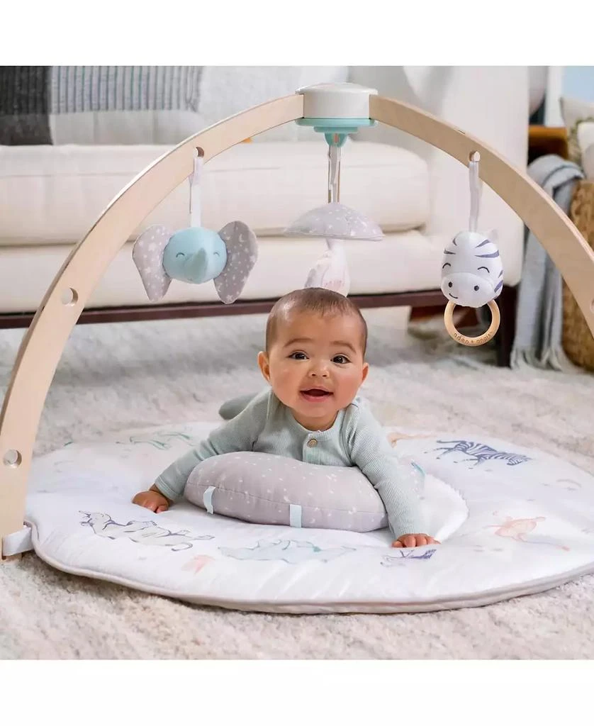 aden + anais Activity Gym 3
