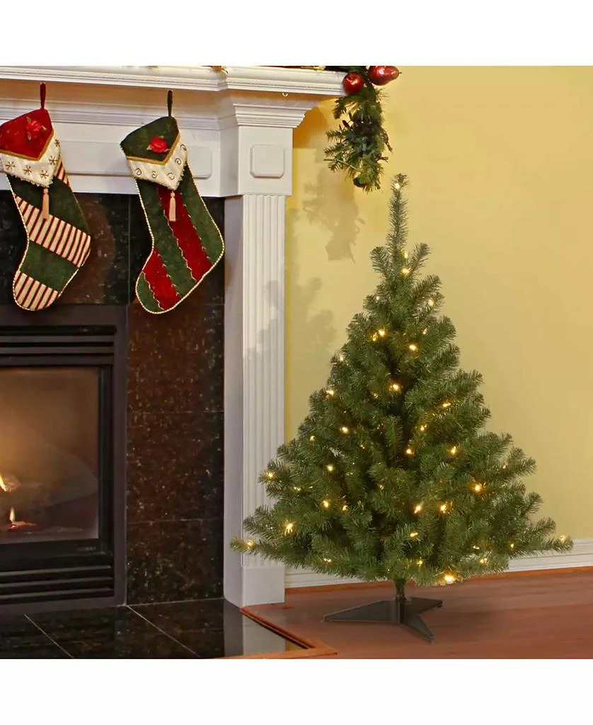 National Tree Company National Tree 4' Kincaid Spruce Tree w/100 Clear Lights 3