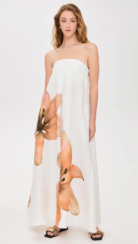 Significant Other Parisa Maxi Dress 6